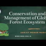 Forests, environment conservation and management