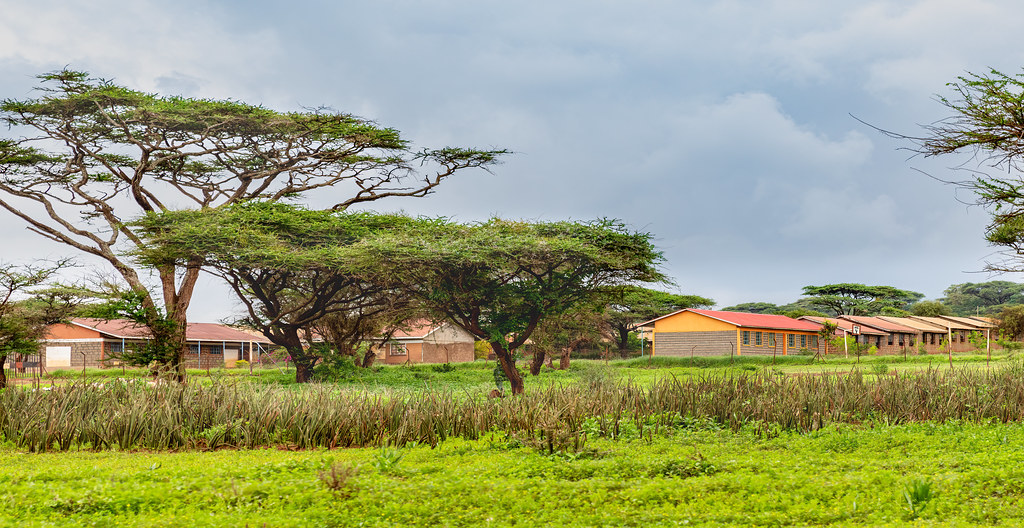 Kajiado County landscape with acacia trees, marking International Day of the Girl 2026 in Kenya