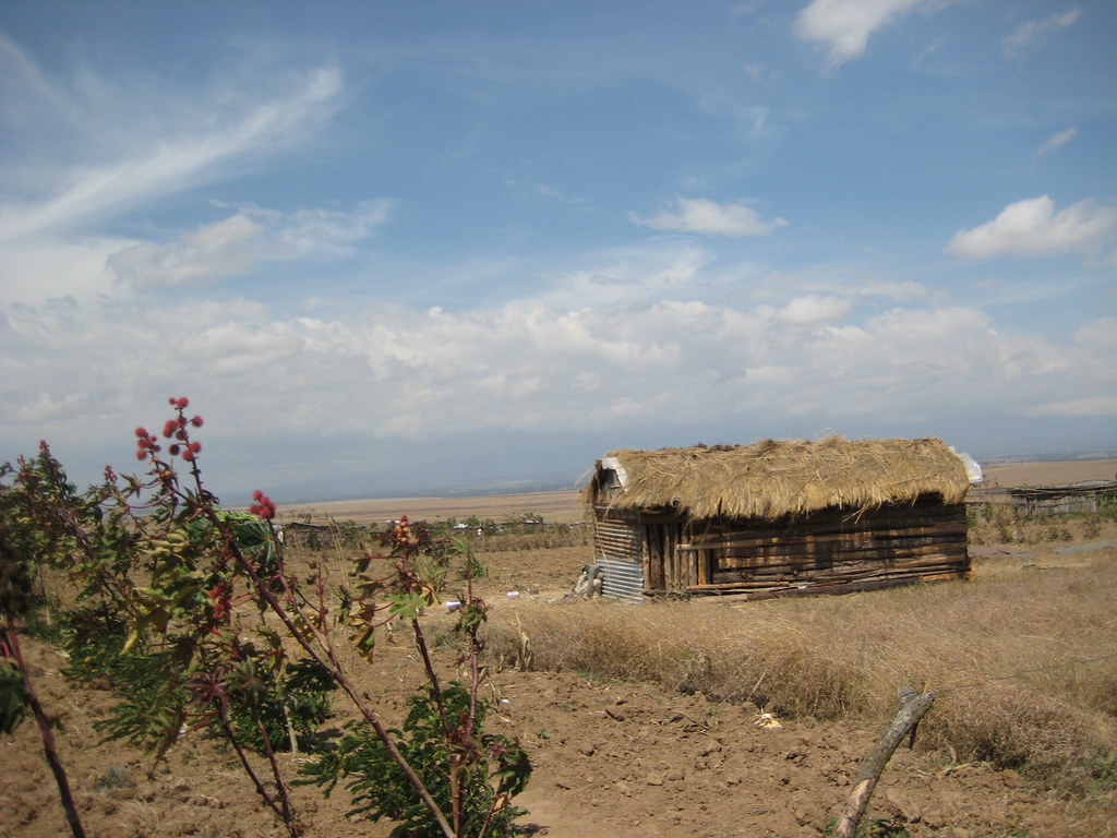 Thatched wood house in rural Kenya, marking the International Day for the Eradication of Poverty