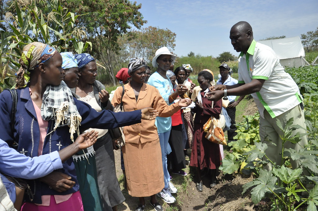 Women farmers in a grant-funded training group in Kenya learning climate-smart farming