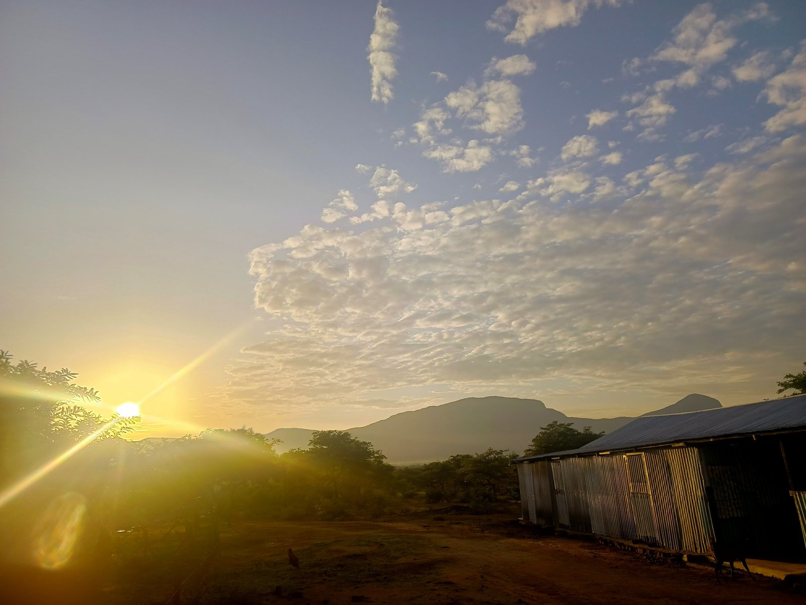 Sunrise over a rural homestead in West Pokot County, site of a new 2026 poverty graduation law