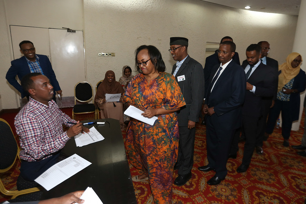 Participants at an electoral systems workshop, illustrating voter education training for Kenyan NGOs