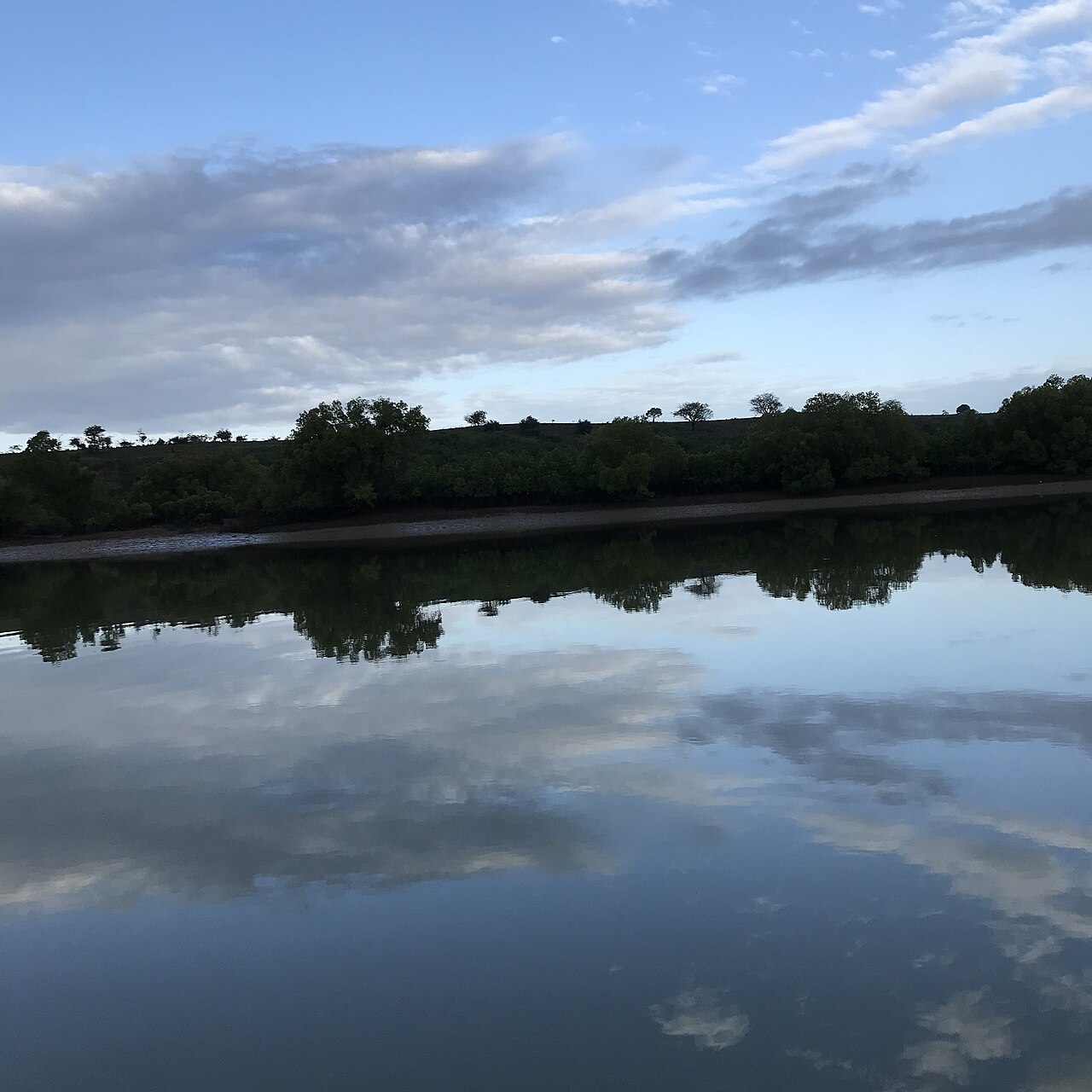 Mangrove creek on the Kenyan coast, the kind of site IKI Medium Grants 2026 funds