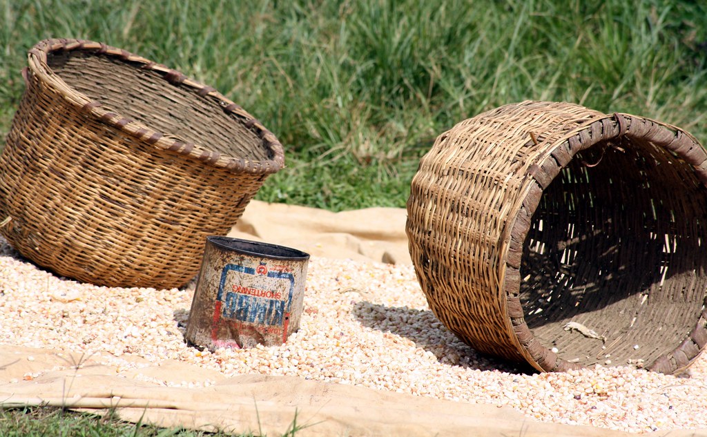 Maize kernels drying on a cloth beside woven baskets, illustrating Kenya food insecurity in 2026