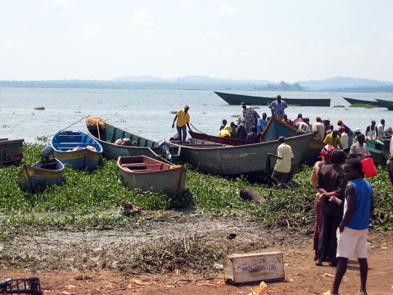 Fishing boats on Lake Victoria, a reminder for World Fisheries Day 2026 and Kenya fishing communities