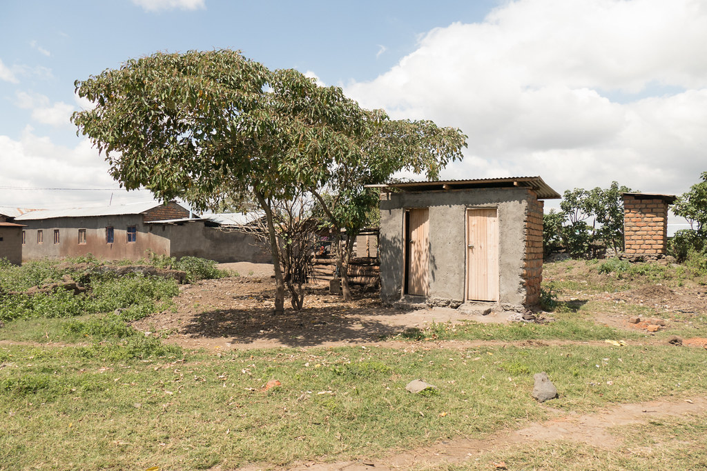 Rural latrine blocks with timber doors, the kind of facility highlighted on World Toilet Day 2026